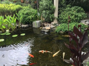 2015-07-21 11.17.17 HDR